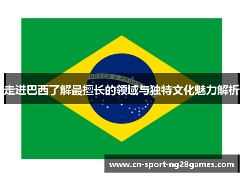 走进巴西了解最擅长的领域与独特文化魅力解析