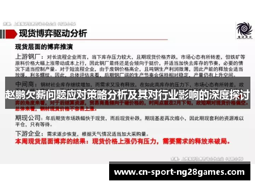 赵鹏欠薪问题应对策略分析及其对行业影响的深度探讨