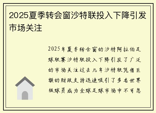 2025夏季转会窗沙特联投入下降引发市场关注 2025夏季转会窗沙特联投入下降引发市场关注