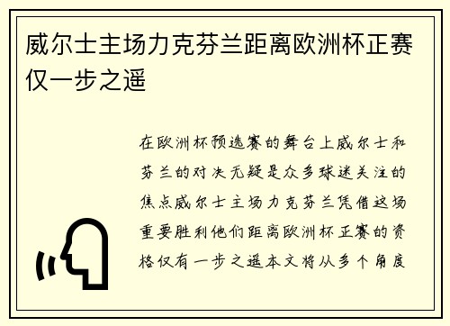 威尔士主场力克芬兰距离欧洲杯正赛仅一步之遥